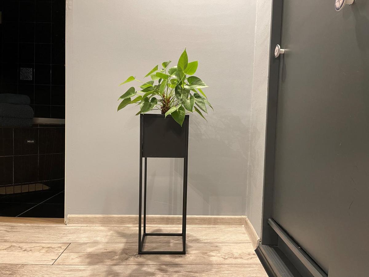 Apartamenty Pod Uwalonym Debem Jezow Sudecki Extérieur photo