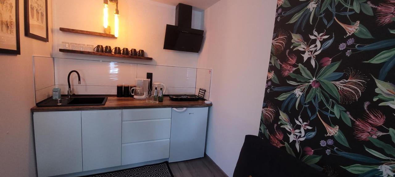 Apartamenty Pod Uwalonym Debem Jezow Sudecki Extérieur photo